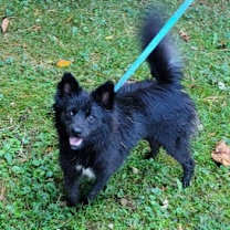 Thumbnail photo of MIA #3