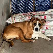 Thumbnail photo of Atticus #1