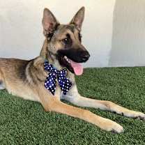 Thumbnail photo of Lois #4