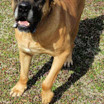 Thumbnail photo of Tate #1