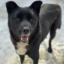 Thumbnail photo of Noah #1