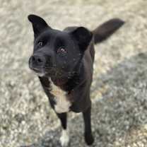 Thumbnail photo of Noah #2