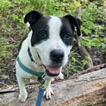 Thumbnail photo of Jett #1