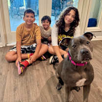 Thumbnail photo of Lola Lovebug the snuggly land seal #2