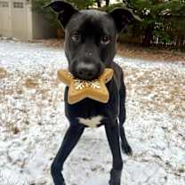 Thumbnail photo of Dan #1