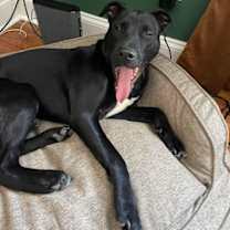 Thumbnail photo of Dan #2