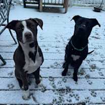 Thumbnail photo of Dan #3