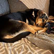 Thumbnail photo of Breanne #2