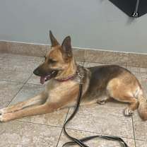 Thumbnail photo of Elphy #3