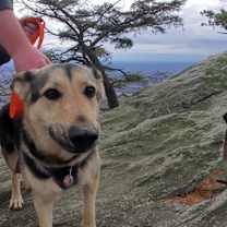 Thumbnail photo of Yaz #3