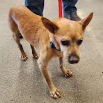 Thumbnail photo of LITTLE BILL #1