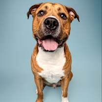 Thumbnail photo of Jethro #1