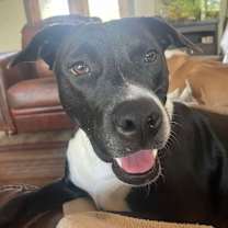 Thumbnail photo of River #2