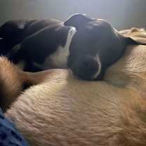 Thumbnail photo of River #3