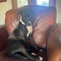 Thumbnail photo of River #4