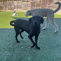 Thumbnail photo of Grimes #2