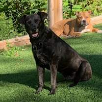 Thumbnail photo of Grimes #4