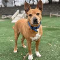 Thumbnail photo of King James #2