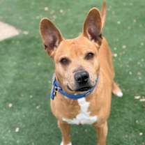 Thumbnail photo of King James #3