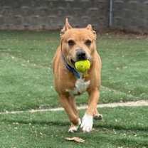 Thumbnail photo of King James #4