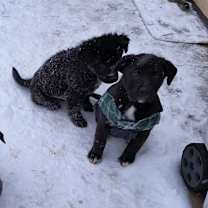 Thumbnail photo of Case #2