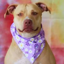 Thumbnail photo of Smillie JUM #2