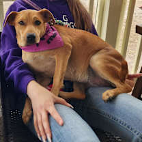 Thumbnail photo of Joplin BW #3