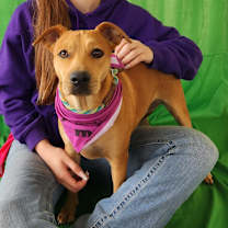 Thumbnail photo of Joplin BW #4