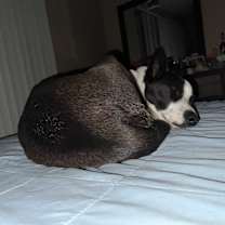 Thumbnail photo of Baby Girl #2