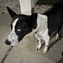 Thumbnail photo of Baby Girl #3