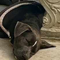 Thumbnail photo of Ace #2