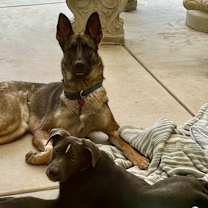 Thumbnail photo of Ace #3