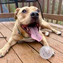 Thumbnail photo of Sabrina #4