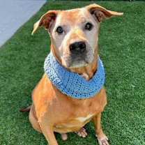 Thumbnail photo of Cooper #1