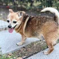 Thumbnail photo of BamBam #3