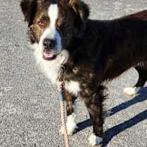 Thumbnail photo of Redford #1