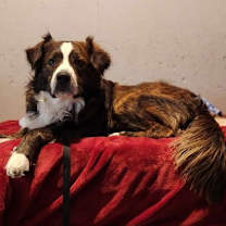 Thumbnail photo of Redford #2