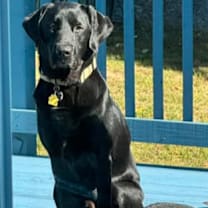 Thumbnail photo of Bolt #1