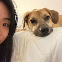 Thumbnail photo of Ohgong (HDS) #2