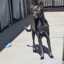 Thumbnail photo of DANNY #3