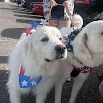 Thumbnail photo of Lucy #1