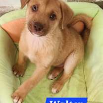 Thumbnail photo of Walter #1