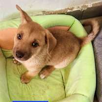 Thumbnail photo of Walter #3