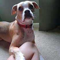 Thumbnail photo of Everly #2