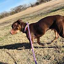 Thumbnail photo of Bearlow JuM #2