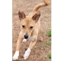 Thumbnail photo of Luz #1