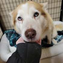 Thumbnail photo of Kimmy #1