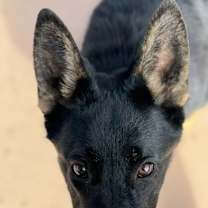 Thumbnail photo of Leila #2