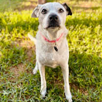 My Girl Cherie aka Mya loves you and your kids