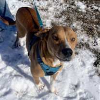 Thumbnail photo of LuLu #1